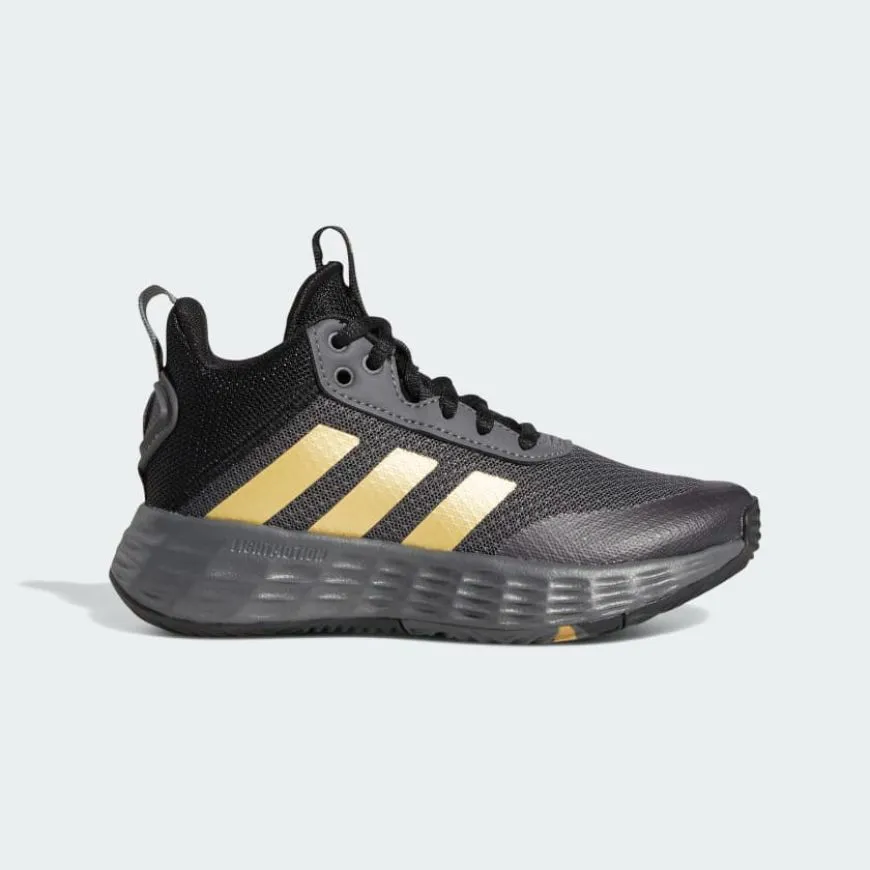 Adidas Ownthegame 2.0 Men Basketball Shoes Grey